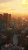 Wonderful panorama of contemporary Los Angeles at sunset. Hazy skyline in the bright light of sun rays at backdrop. Aerial view. Vertical video.