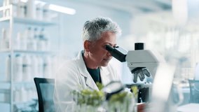 Science, laboratory and woman with plants, microscope and research with senior medical engineer. Biotech, botany and leaves with female scientist checking growth, development or results in agro study - Powered by Shutterstock - Get 15% off with code: PIKWIZARD15