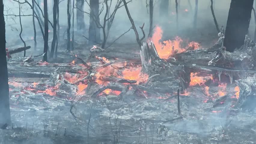 2019-2020 Australian Black Summer Bushfire, Nighttime Burning 