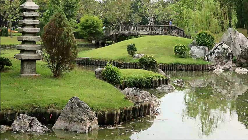 Footage of a Javan Pond Heron Wandering in a Beautiful Japanese Garden