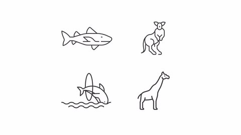 Animated wildlife icons. Wild living animals line animation library. Ocean life, tropical zoology. Black illustrations on white background. HD video with alpha channel. Motion graphic Stockvideó