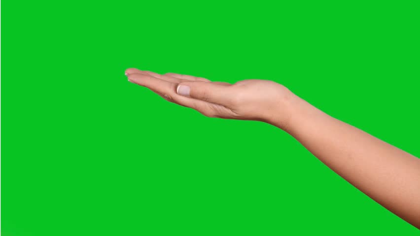 Shutterstock Video