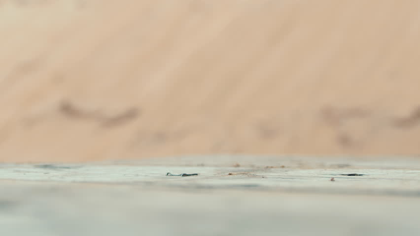 Capturing the dynamic motion of ejected bullet casings as they fall onto a wooden surface, surrounded by a dusty atmosphere. Each casing reflects the harsh realities of weaponry use. Camera 8K RAW. 