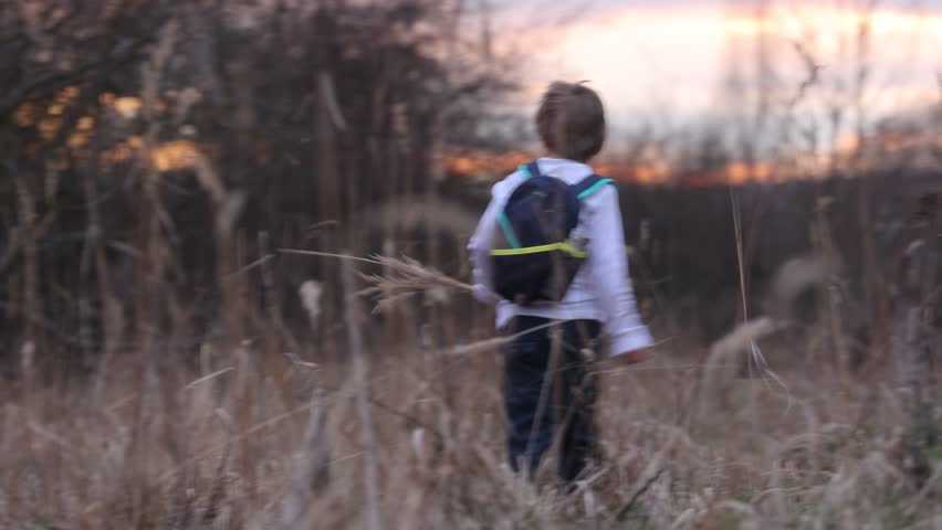 Adorable little child, boy, holding fild flowers in park on autumn day, sunset, tourism with backpack