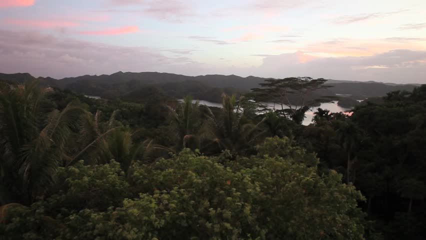 The lush rainforest that covers the Republic of Palau harbors a diversity of
