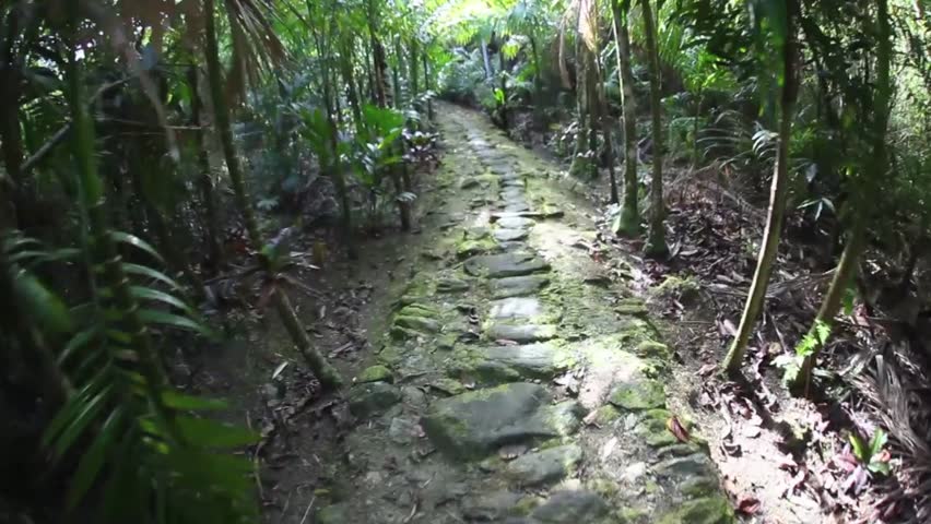 A traditionally built stone pathway has been built through the Micronesian