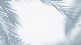 3D animation - Shadow of palm leaves moving in the wind in a loop on an empty wall  - Powered by Shutterstock - Get 15% off with code: PIKWIZARD15