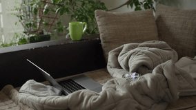 On the sofa in the living room, there is a laptop, a green cup, a blanket, a pillow, eyeglasses, plants in the background, captured in a slow-motion video