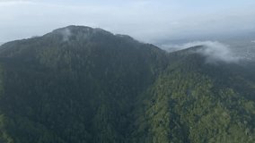 Fly over mountains with dense forests. Steep valleys and cliffs. 4K aerial drone shot.