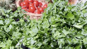 choosing green vegetable
  in the greengrocery