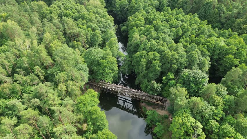 old railway steel bridge over river in green forest aerial high angle