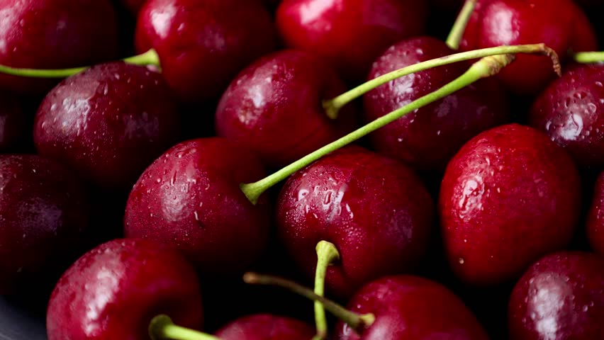 Cherry fruit, ripe cherry, closeup of red cherries fruit with drops  Royalty-Free Stock Footage #3459343109
