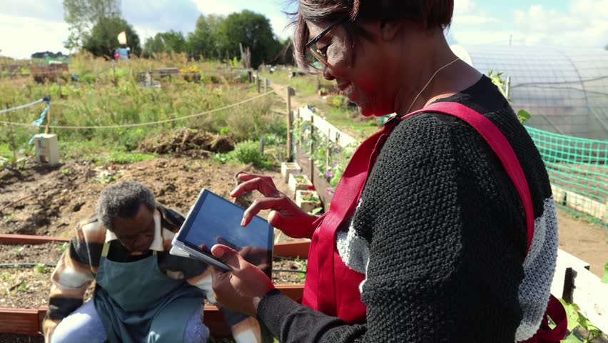 Mature Couple Engaged in Community Garden. Mature couple enjoy working together in a community garden, with a focus on sustainable agriculture. - Powered by Shutterstock - Get 15% off with code: PIKWIZARD15
