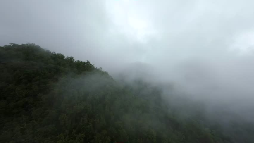 Aerial view of a foggy forest inside the clouds .wild nature in Thailand Royalty-Free Stock Footage #3459559331