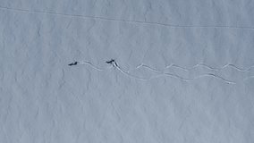 Adrenaline-filled Skier Jumping From Height Drone Video, Palandoken Mountain Erzurum, Turkiye (Turkey)