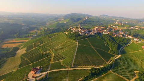 Aerial: flight over Italian town Castiglione Falletto surrounded with vineyards. Piedmont region, Italy.