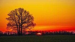 Time-lapse of a colorful spring sunrise behind leafless countryside trees - Powered by Shutterstock - Get 15% off with code: PIKWIZARD15