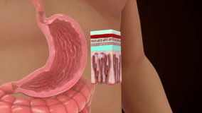 Argentaffin cells in stomach 3d illustration