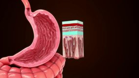 Argentaffin cells in stomach 3d illustration