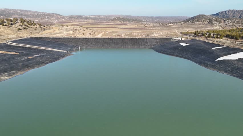 Cormorant Swimming In Pond, aquatic animals in the dam