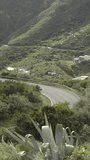 Aerial view of a sharp turn on a mountain road among green forest trees. Cars driving along a beautiful mountain road on the island of Tenerife in the Spanish Canaries, vertical footage
