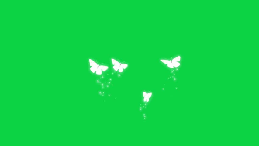 Beautiful butterfly with green screen background
