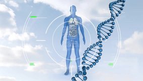 Animation of dna strand, skeleton and scientific data processing. Global science, connections, computing and data processing concept digitally generated video. - Powered by Shutterstock - Get 15% off with code: PIKWIZARD15