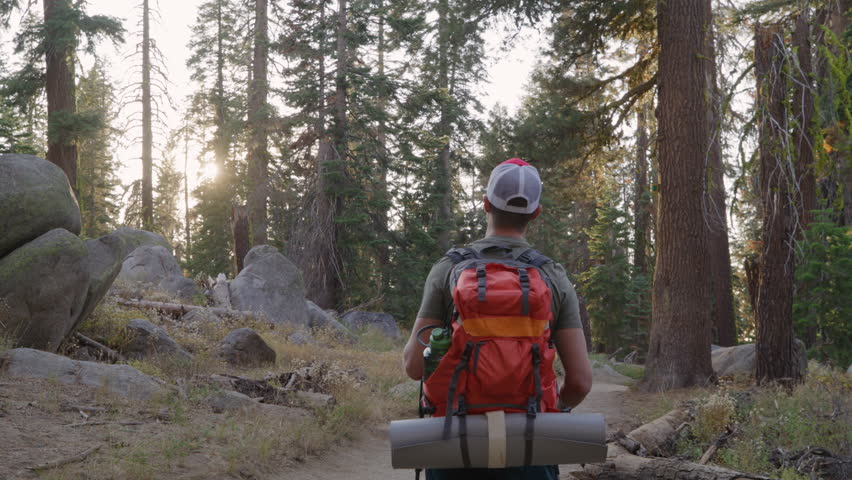 Exhausted guy, backpacker, with red rucksack and travel mat, strolling in ancient woodland leaning on trekking poles, catching mosquitoes on his neck. High quality 4k footage Royalty-Free Stock Footage #3460087583