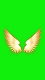 Angel fairy wings animation on green screen, 3D Animation, Ultra High Definition, 4k vertical video.