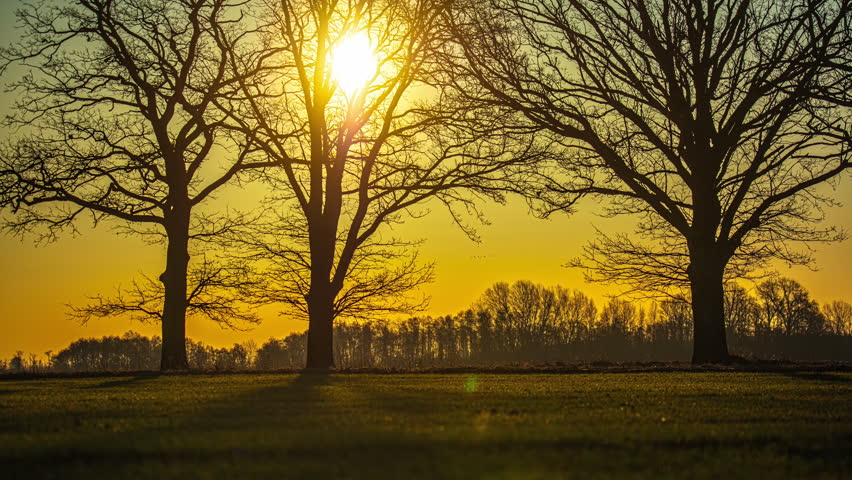 Static timelapse of sun exceeding zenith over group of trees and meadow. Time lapse footage of sun reaching and passing highest point. Royalty-Free Stock Footage #3460322813