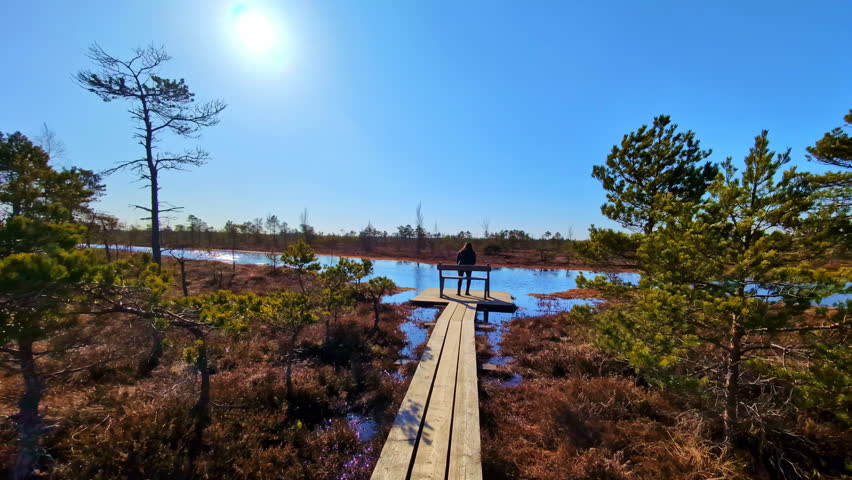 Boardwalk wooden pathway on a pond with a woman standing on a dock - aerial flyover