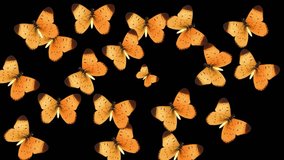 3D video animation: Glowing yellow butterflies on a black background.