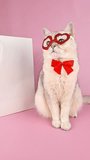 a cute white cat in a red mask in the form of hearts, sits on pink background, looking away