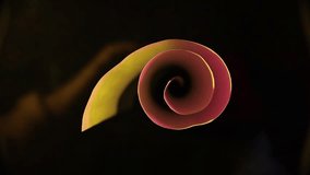 Concentric curves of a roll of office calculator paper, with red and yellow side lighting, form circular spiral rings, creating a beautiful abstract design with a black background  