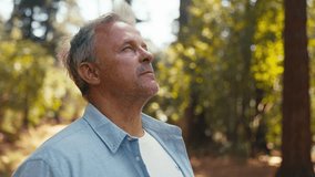 Peaceful senior retired man relaxing standing amongst nature in forest surrounded by trees with closed eyes breathing deeply - shot in slow motion - Powered by Shutterstock - Get 15% off with code: PIKWIZARD15