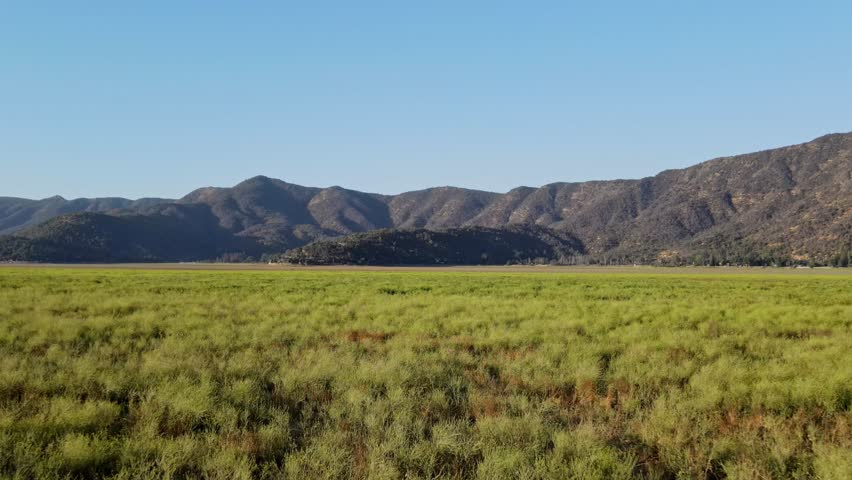 Vuelo sobre prado verde en direccion a monte. Chile