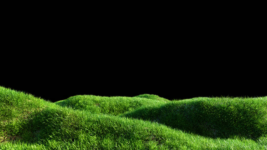 Meadow Green Grass Alpha motion footage for nature films and cinematic in grass scene. Also good background for scene and titles.