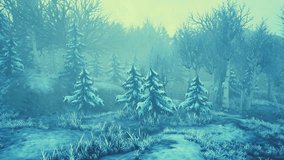winter storm in a forest in winter - Powered by Shutterstock - Get 15% off with code: PIKWIZARD15