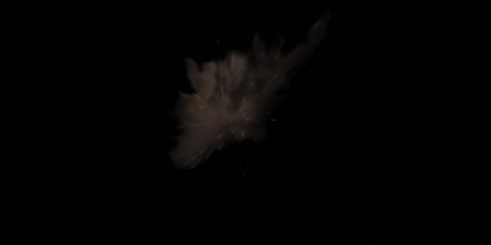 Shutterstock Video