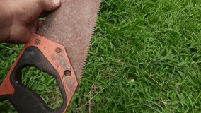 A man holds a rusty saw against a green grass background