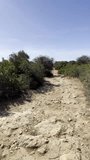 First person view, FPV, POV, walking on coastal path towards the Benagil sea caves, Portugal, Europe. Coastal ecosystem with flora and fauna, natural organic textures. Vertical video