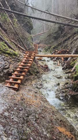 Wooden walkway through forest and scenic mountain hiking trail in Slovakia. Vertical video of forests and narrow paths along wooden bridges