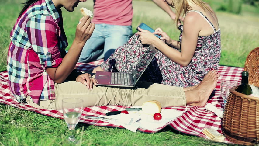 Group of happy friends using technology on a picnic
