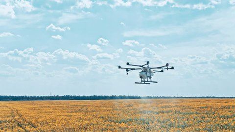 Agriculture drone spraying pesticides on sunflowers field in sky