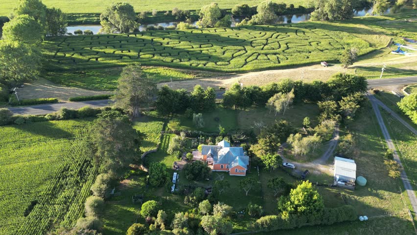 Fly to a house of wood