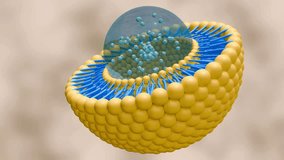 3d animation of nanomedicine inside of liposome lipid bilayer - Powered by Shutterstock - Get 15% off with code: PIKWIZARD15