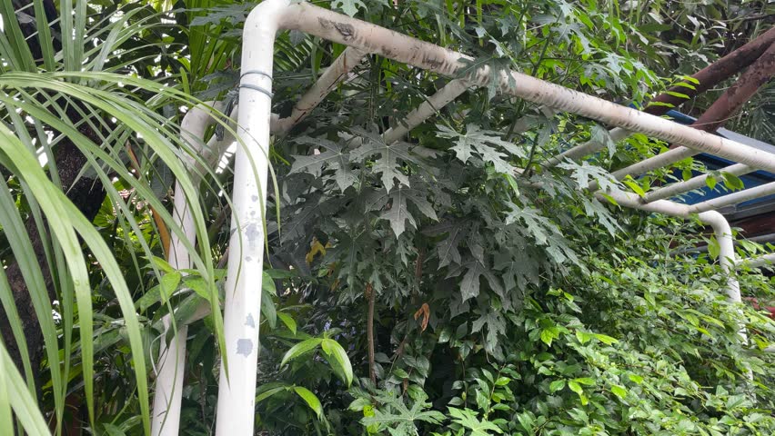 Step into a forgotten world where laughter once echoed through rusted swings