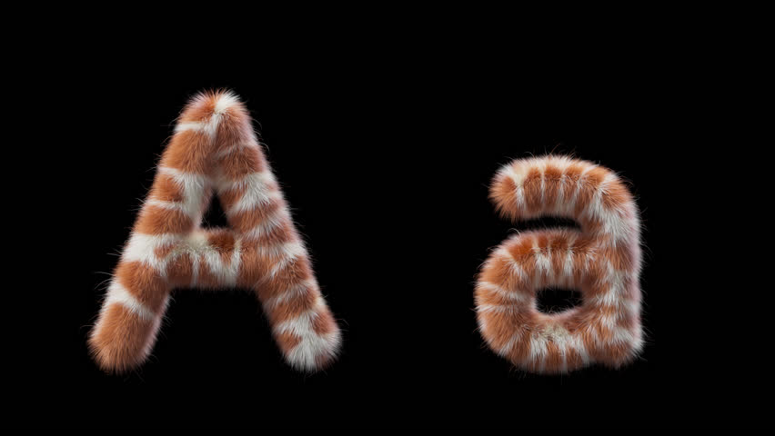Shutterstock Video
