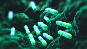 Microbiome-gut-bacteria, Intestinal bacteria, Gut microbiome helps control intestinal digestion, immune system, Probiotics are beneficial bacteria, Gut flora health, small intestine, lactic acid.