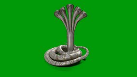 Big Snake top quality green screen, 3D Animation, Ultra High Definition, 4k video Premium Quality